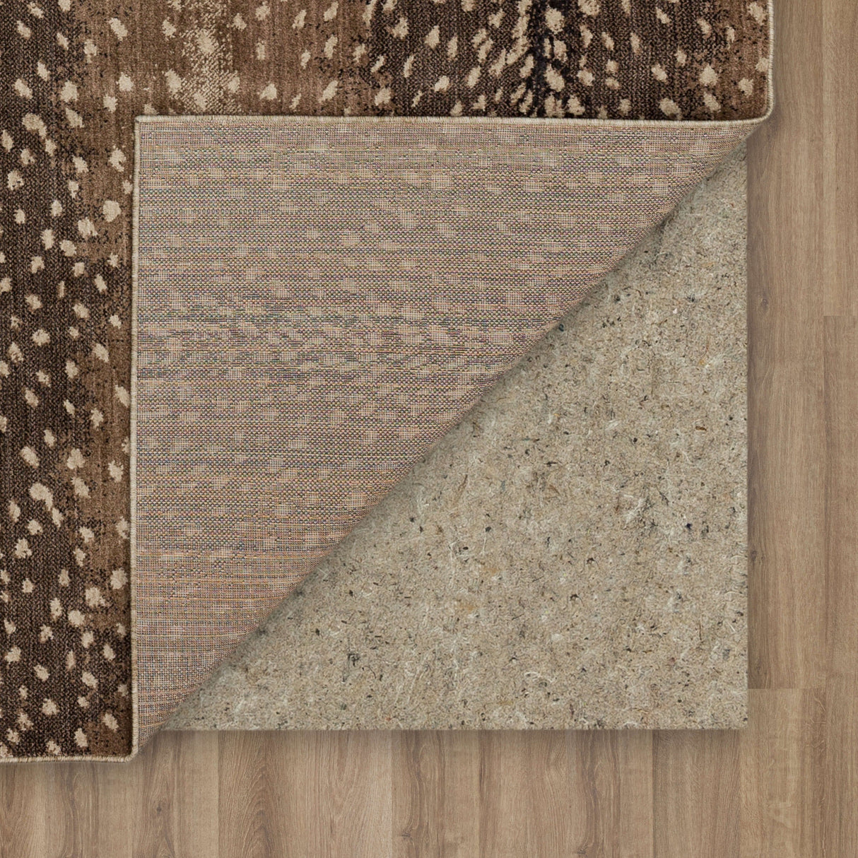 Karastan Rugs Eden Area Rug