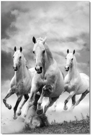 Galloping Horses Wall Art