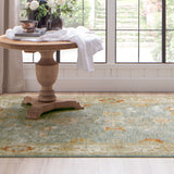 Karastan Rugs Amasya Area Rug