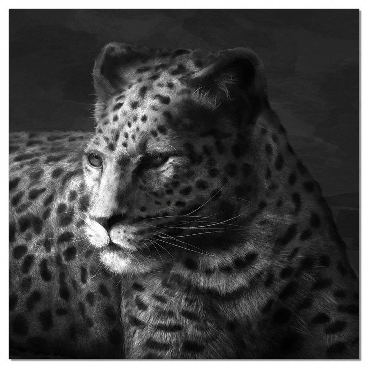 Cheetah Wall Art