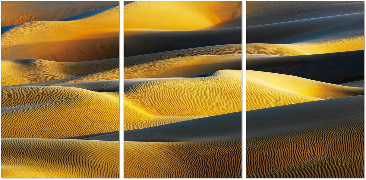 Desert Sun Wall Art