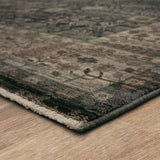 Karastan Rugs Grasole Area Rug