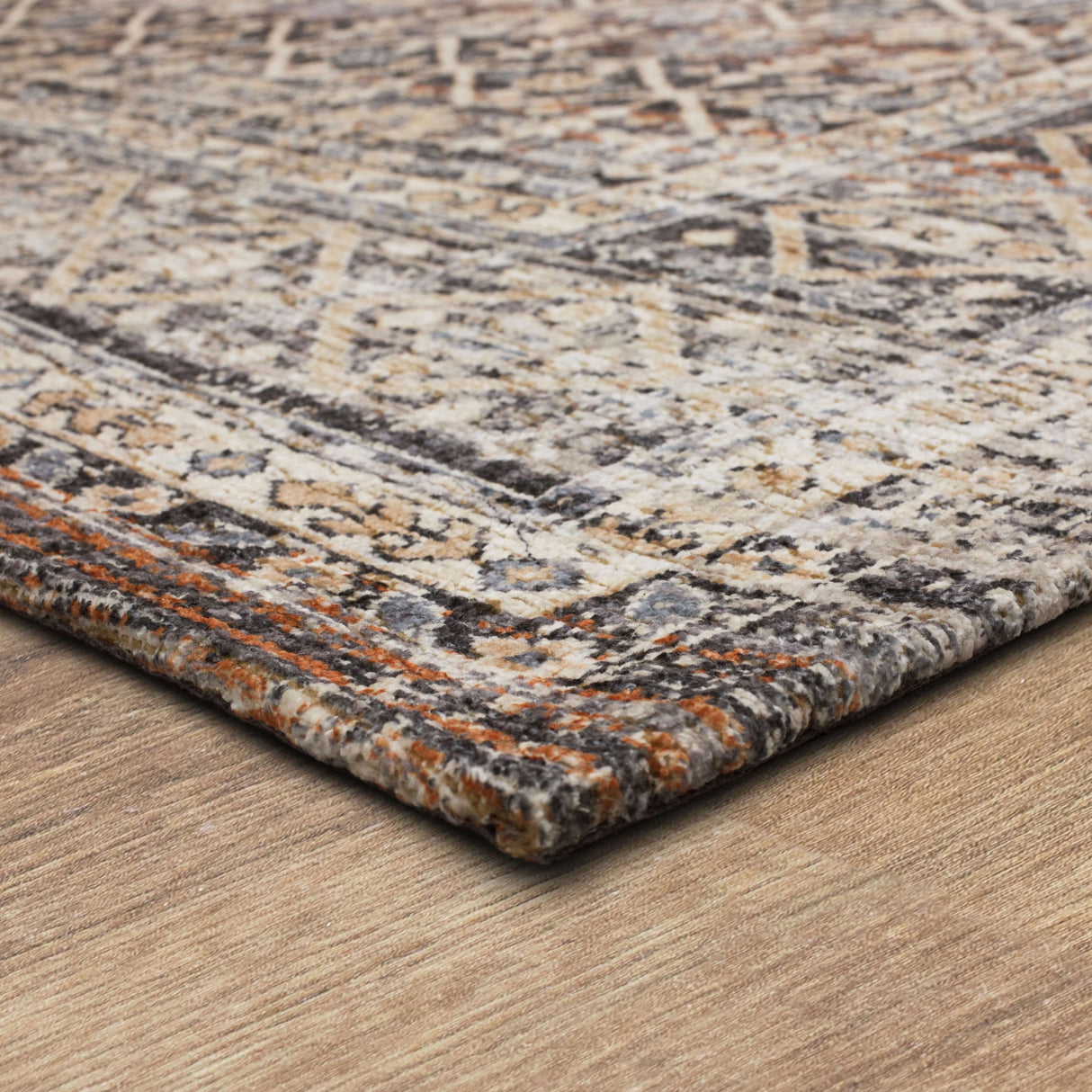 Karastan Rugs Luanda Area Rug