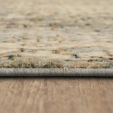 Karastan Rugs Sanctum Area Rug
