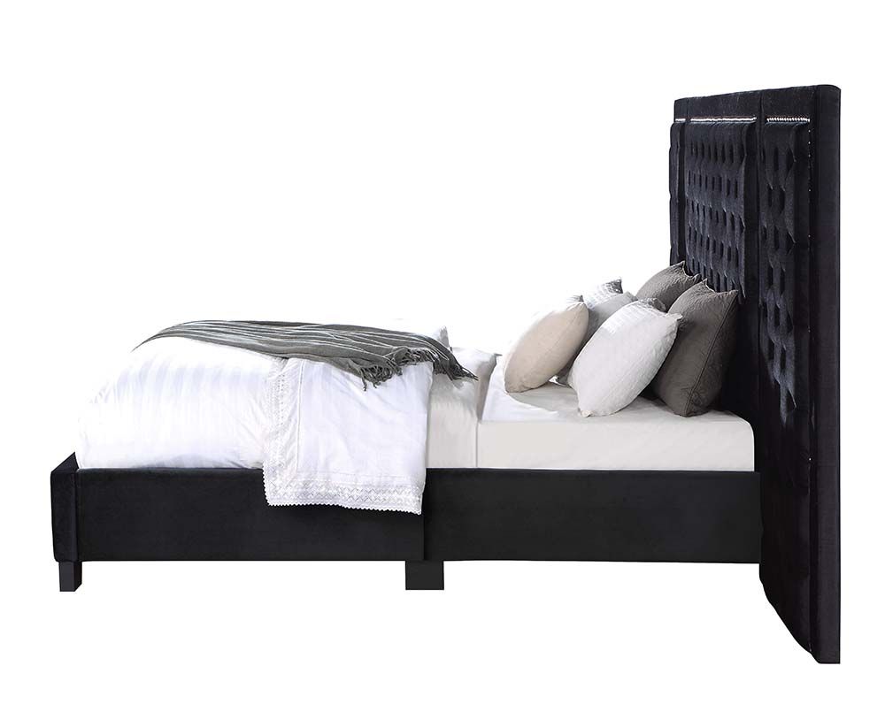ACME - Damazy Queen Bed - BD00975Q