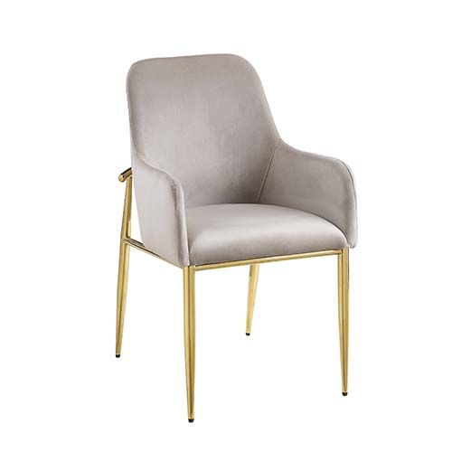 ACME - Barnard Side Chair (Set-2) - DN00220
