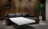 Taylor Premium Sectional Sleeper in Brown